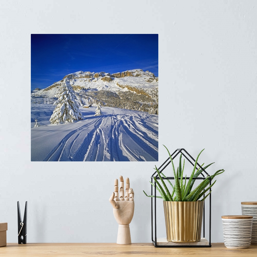 A bohemian room featuring Italy, Veneto, Alps, Dolomites, Sellaronda, Ski slope at Cherz mountain
