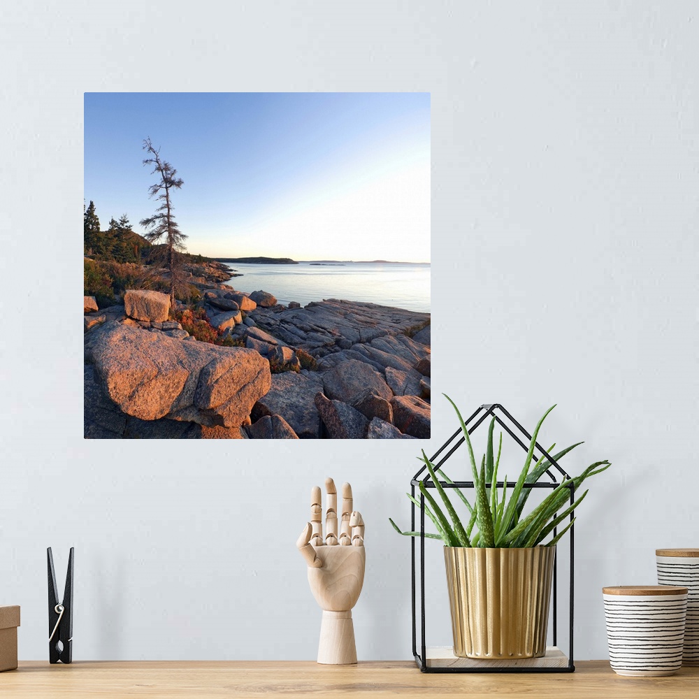 A bohemian room featuring Maine, Mount Desert Island, Acadia National Park, Dawn at Otter Cliffs