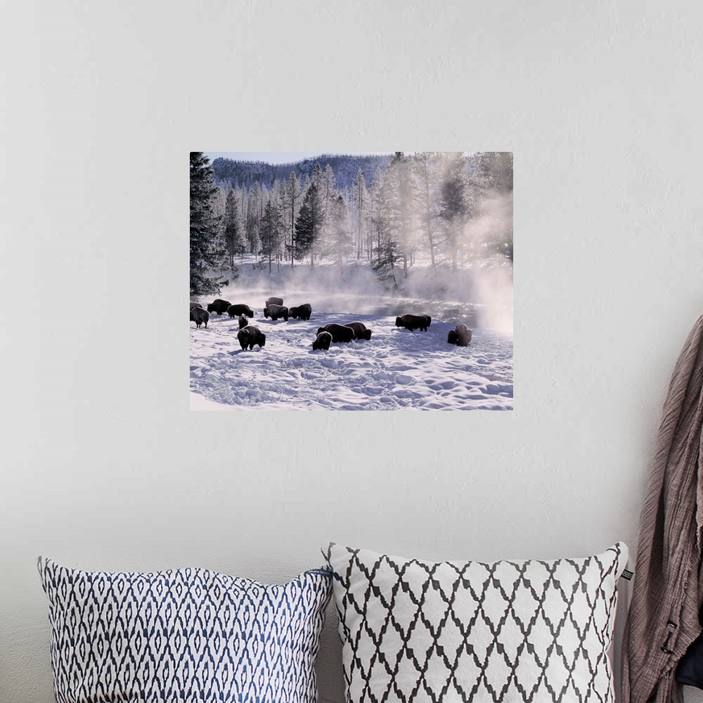 A bohemian room featuring United States, Wyoming, Yellowstone NP, Madison River, buffalos