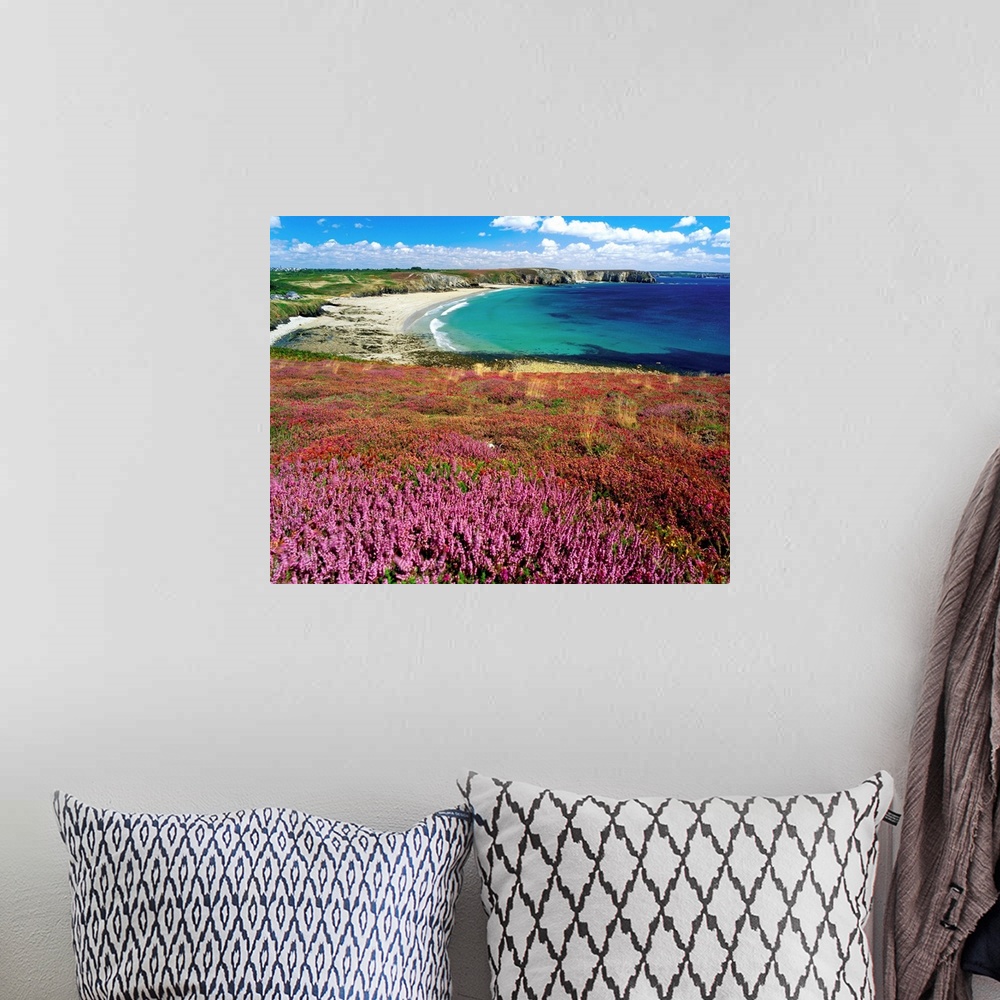 A bohemian room featuring Wildflower field by beach