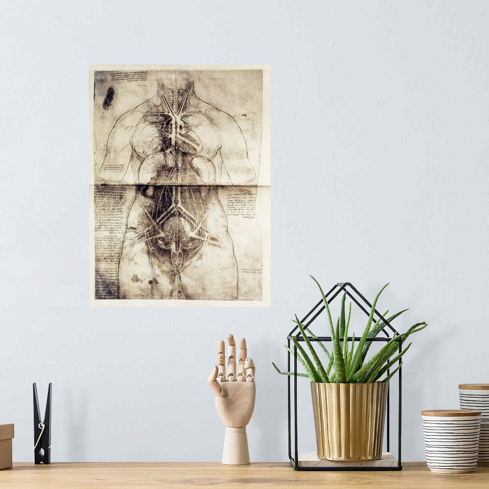 A bohemian room featuring Anatomic studio drawing