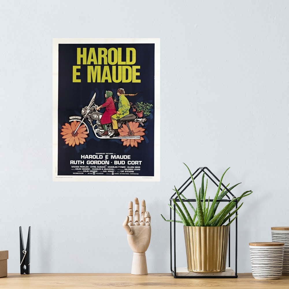 A bohemian room featuring Harold And Maude - Movie Poster (Italian)