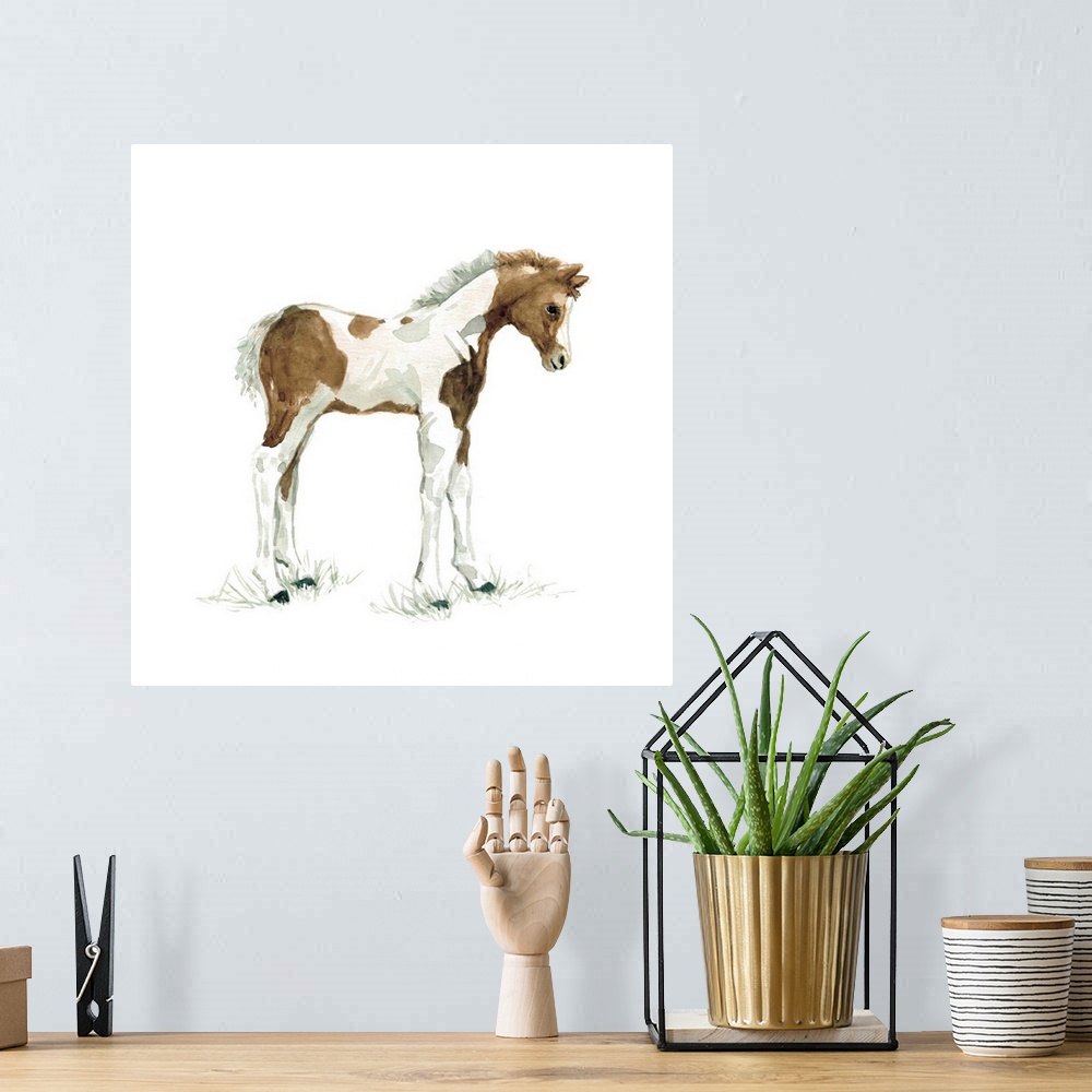 A bohemian room featuring Cute illustration of a small brown and white foal.