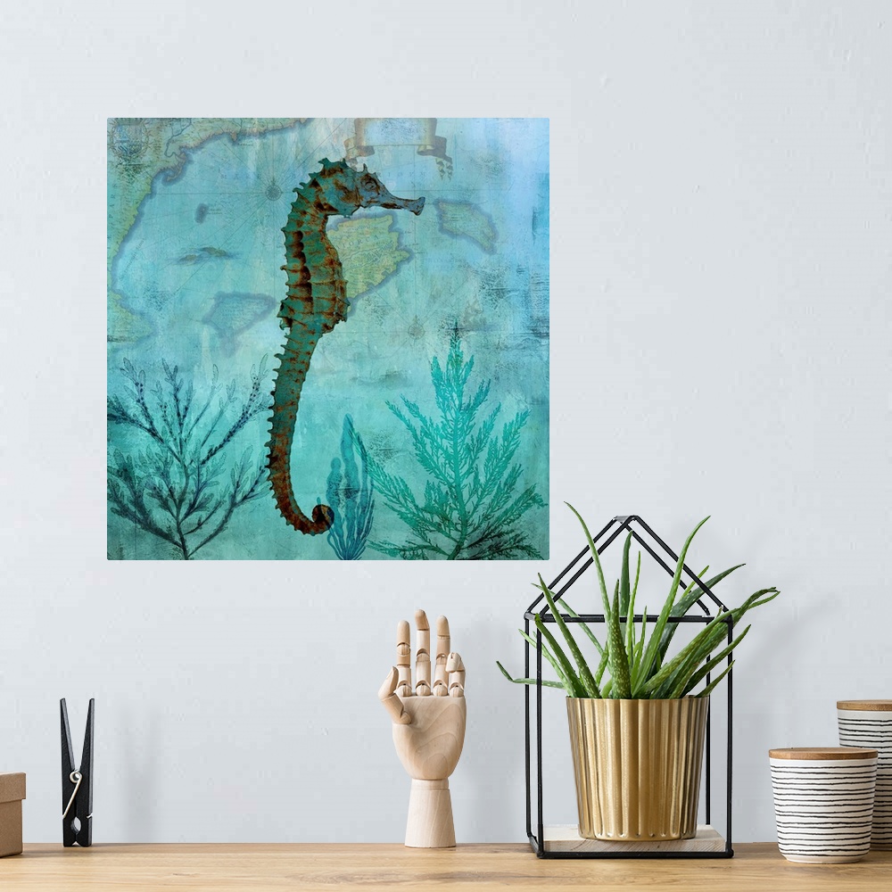 A bohemian room featuring Pacific Seahorse