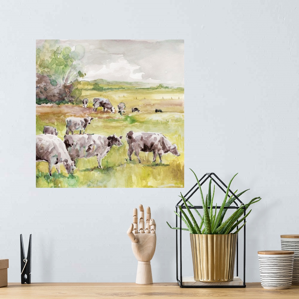 A bohemian room featuring Spring Herd