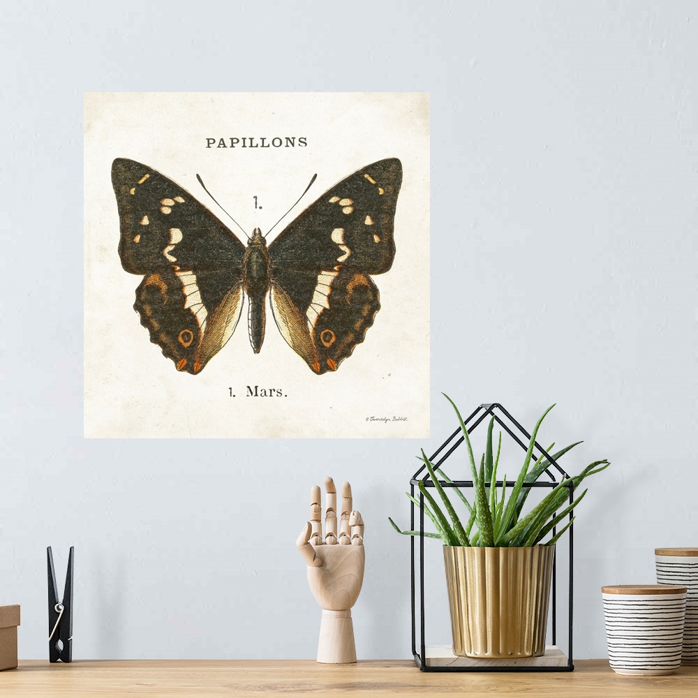 A bohemian room featuring Butterfly I