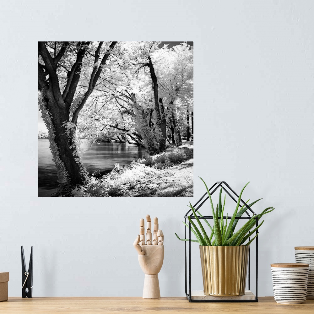 A bohemian room featuring Spring on the River 2