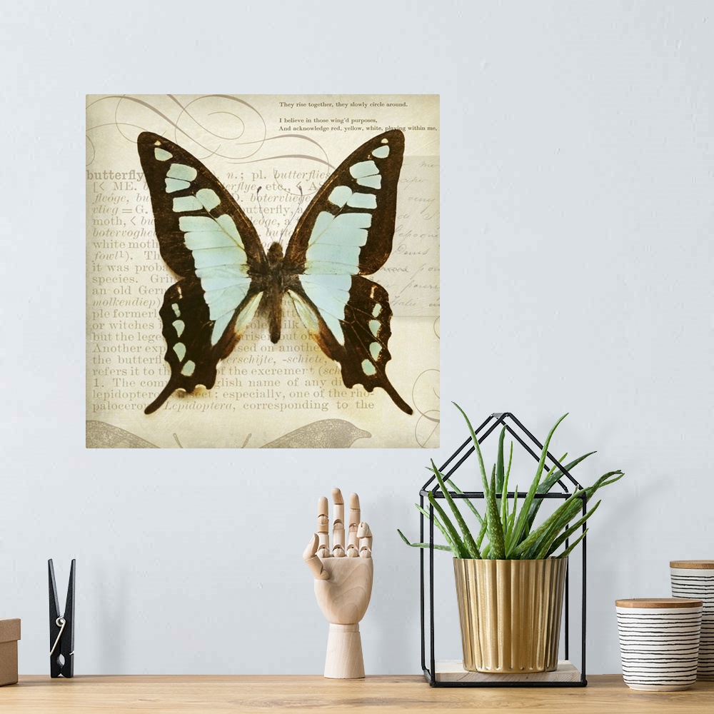 A bohemian room featuring Vintage Butterfly I