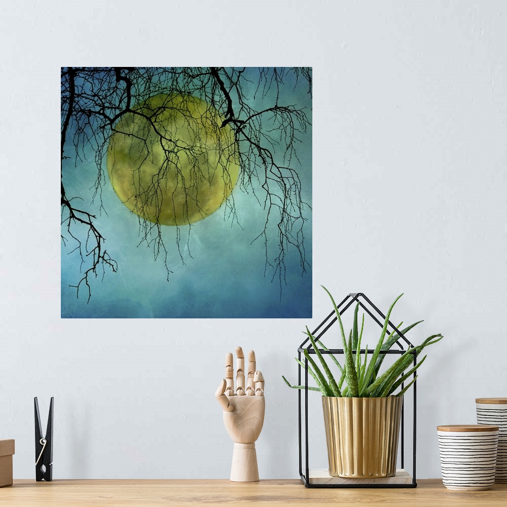 A bohemian room featuring A huge full moon behind bare winter branches.Atmospherically textured.