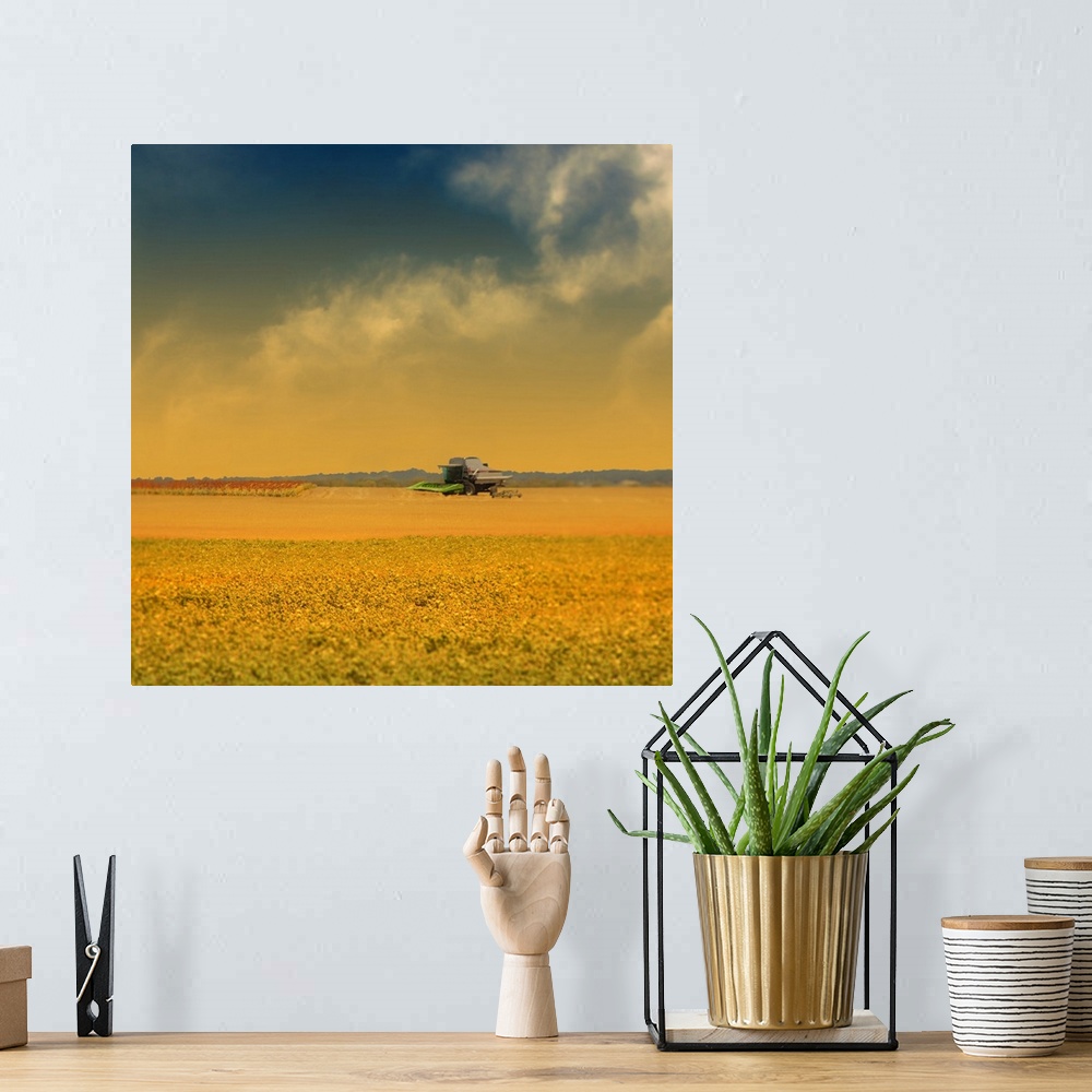 A bohemian room featuring Agricultural landscape at sunrise in Texas.