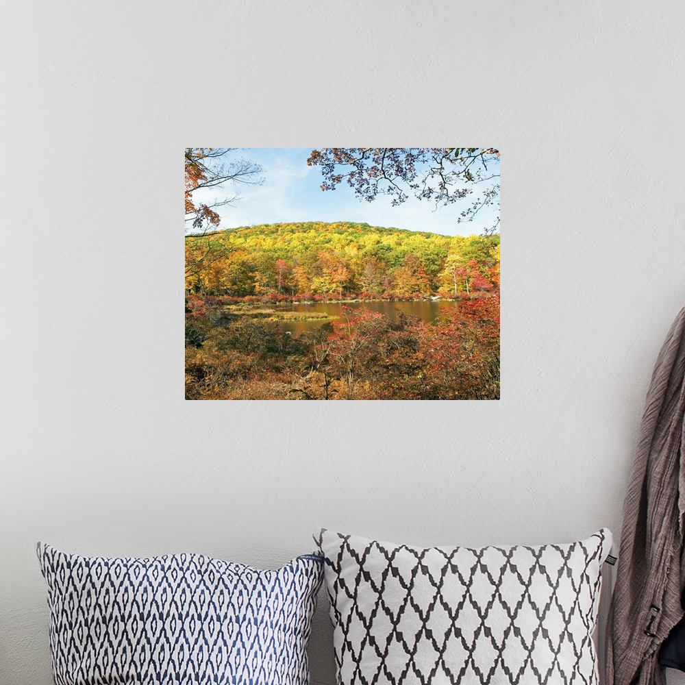 A bohemian room featuring Autumn foliage, Bear Mountain, New York
