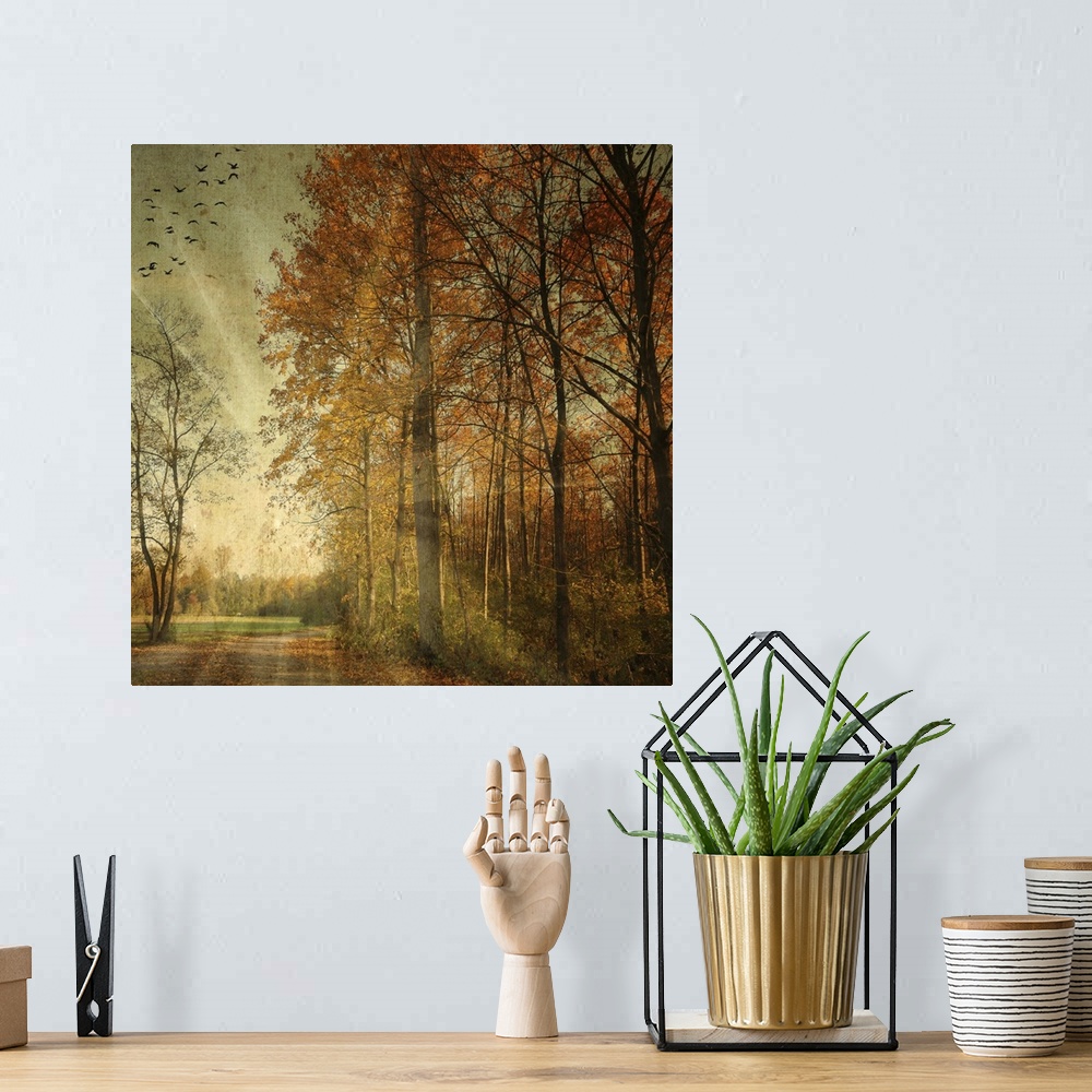 A bohemian room featuring Photograph of leaf covered path winding around bright fall forest with sun rays glowing in a bird...