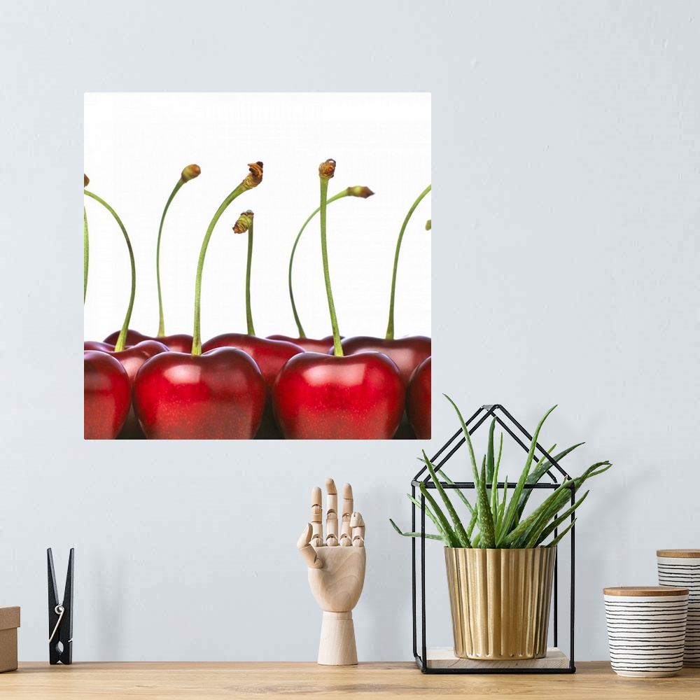 A bohemian room featuring Charries shot in the foreground of the photograph. The cherries are big, ripe and red and they ha...