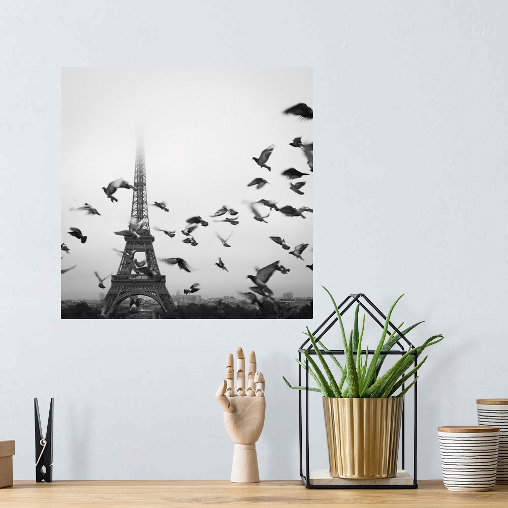 A bohemian room featuring Birds fly in front of the Eiffel Tower on a foggy, misty day in Paris, France