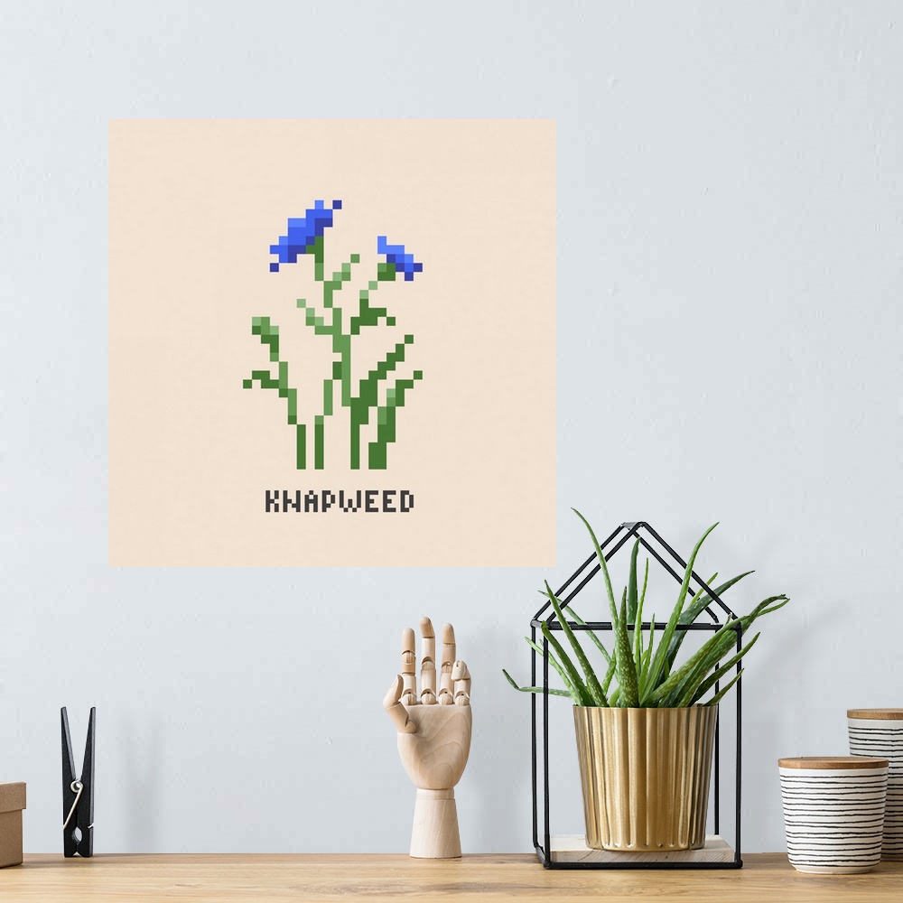 A bohemian room featuring Blue Knapweed Pixel Art