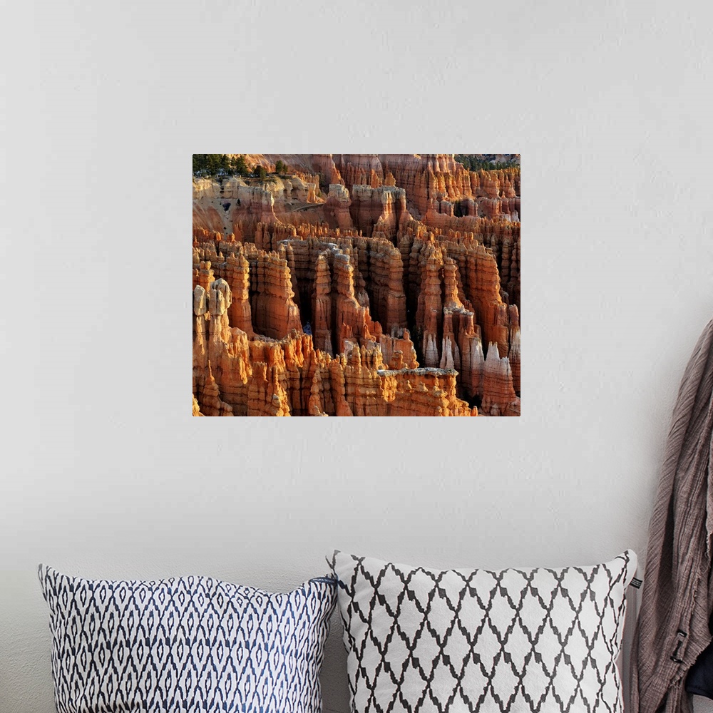A bohemian room featuring Bryce Canyon National Park Just after Sunrise from Inspiration point on a Crisp February day.