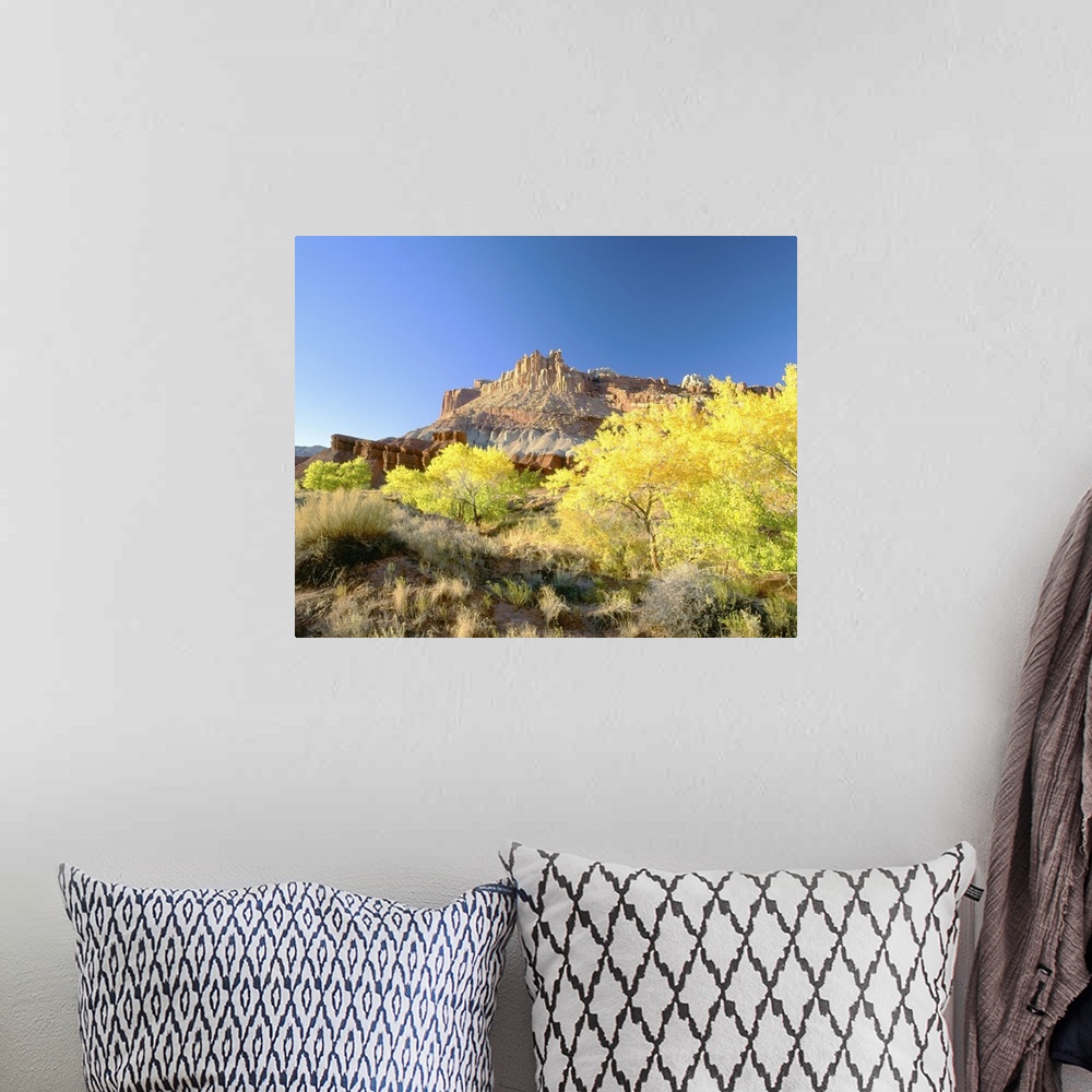 A bohemian room featuring 'Autumn, Capitol Reef National Park, Southern Utah'
