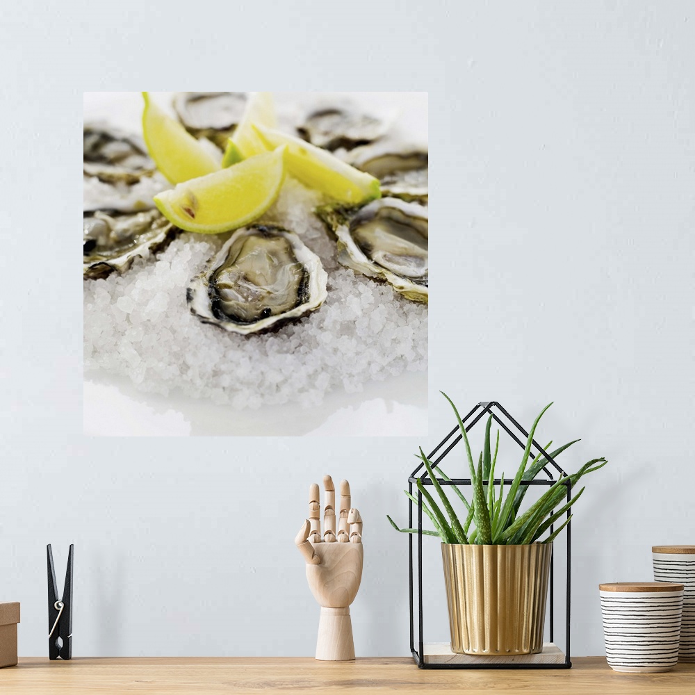 A bohemian room featuring close-up of oysters served on crushed ice