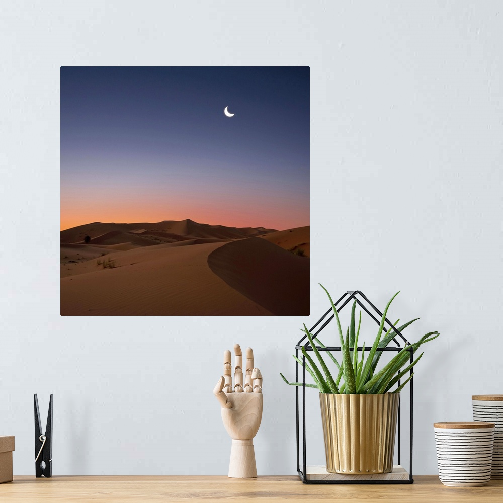 A bohemian room featuring Crescent moon over dunes in Sahara Desert at dawn, Morocco.