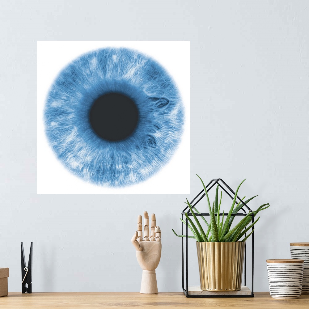 A bohemian room featuring Eye, negative image, with blue-green iris
