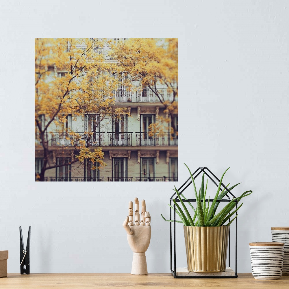 A bohemian room featuring Facade of a c. 19th Century tenement house in central Madrid, in foreground trees with withered l...