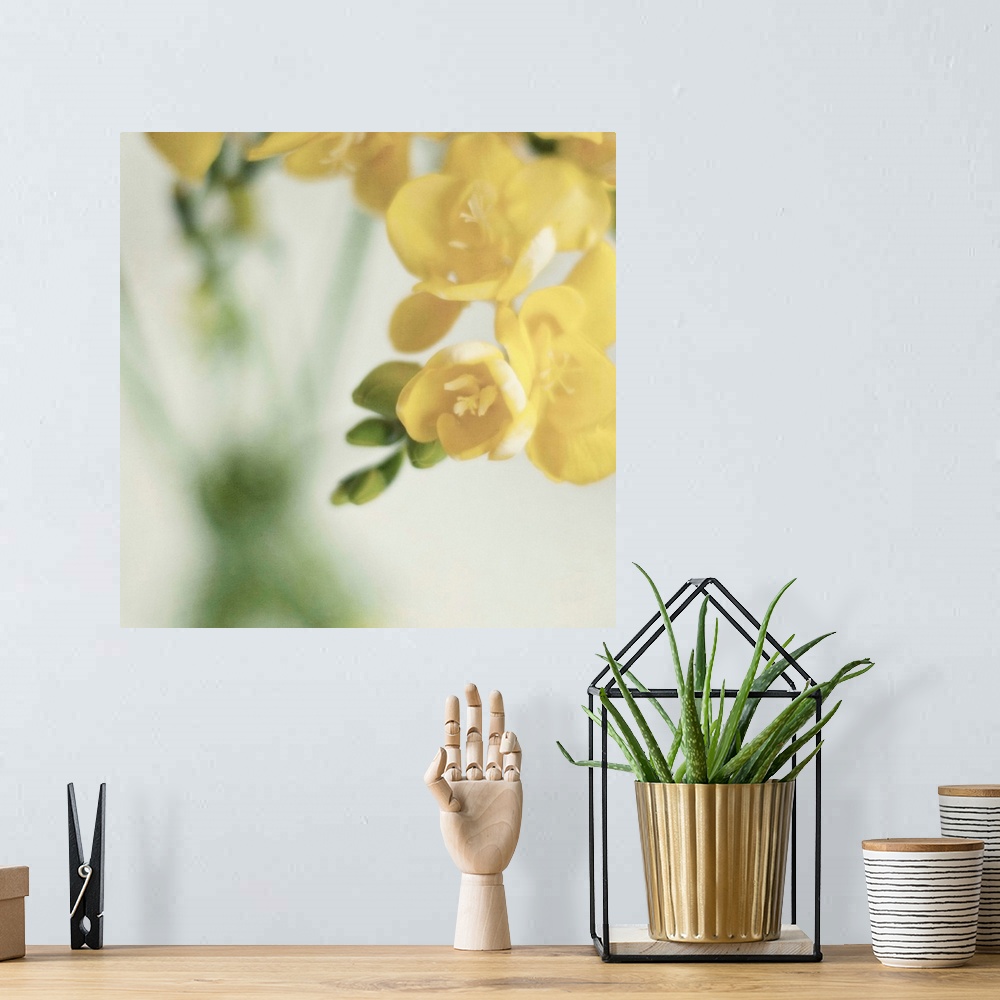 A bohemian room featuring Fragrant Freesia flowers in  vase.Soft textures added in processing.