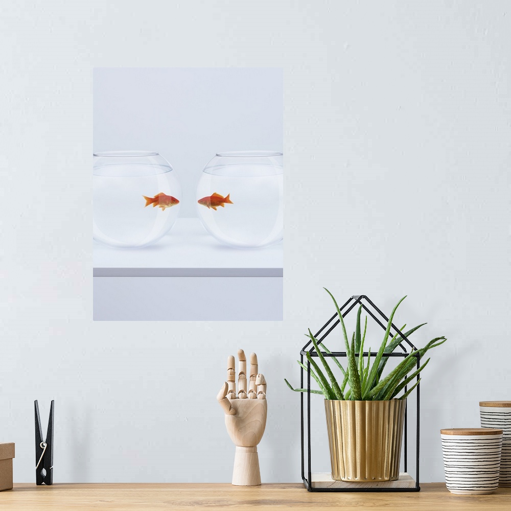 A bohemian room featuring Goldfish in separate fishbowls looking face to face