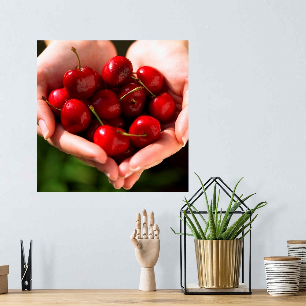 A bohemian room featuring Handful of cherries