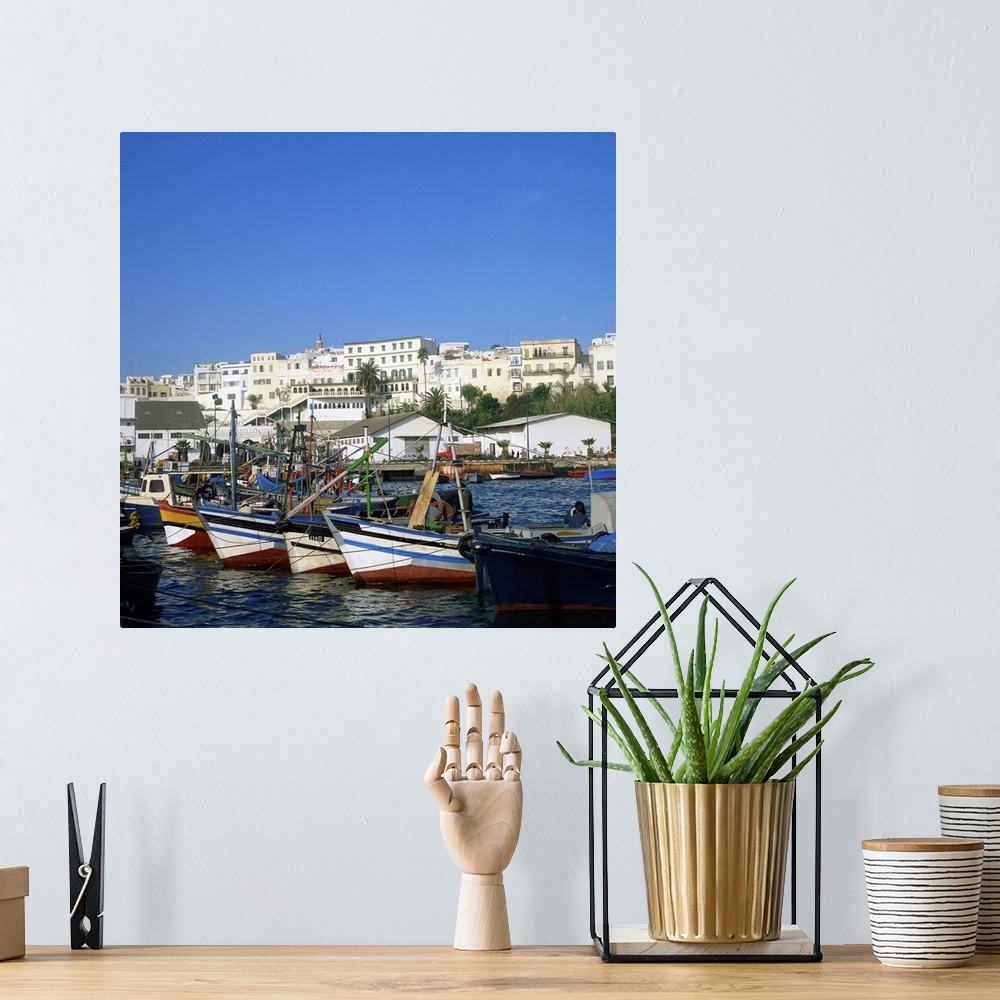 A bohemian room featuring Harbor of Tangier, Morocco