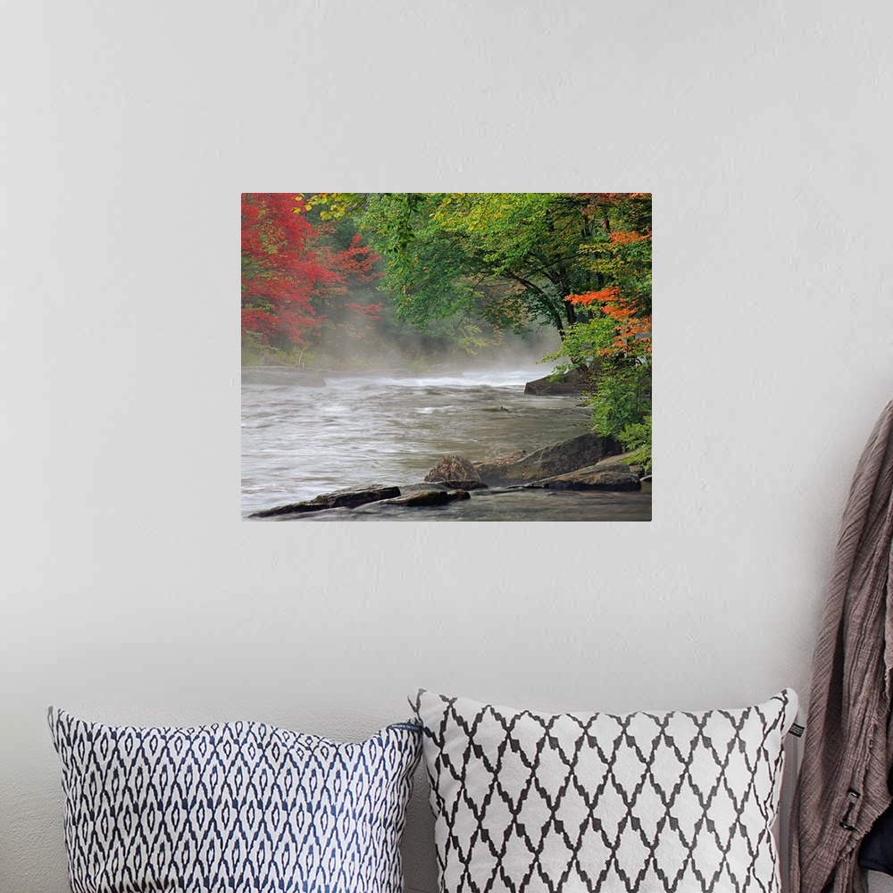 A bohemian room featuring Fall colored trees line a stream of rushing water with a thin layer of fog just above it.