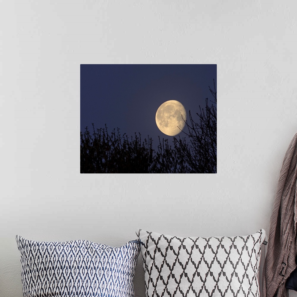 A bohemian room featuring Moon setting in North Carolina