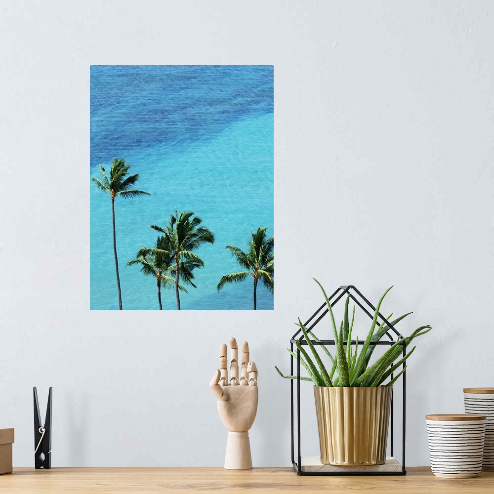 A bohemian room featuring Palm trees and surface of the sea