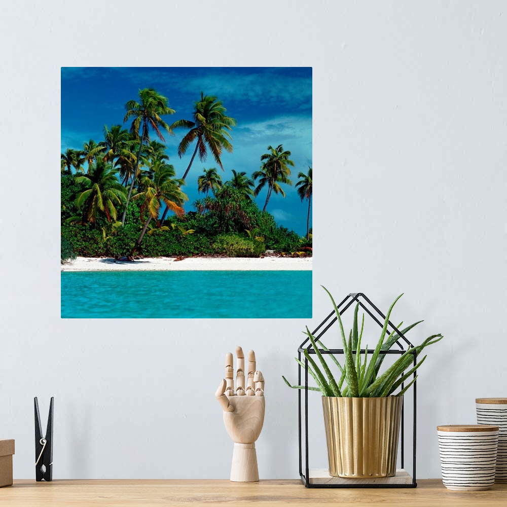 A bohemian room featuring A square photograph of a sandy shoreline and clear turquoise water with lush vegetation under a p...