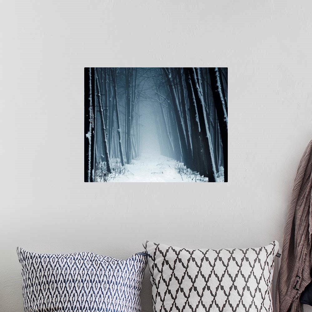 A bohemian room featuring Path leading into mysterious forest in snow and fog.