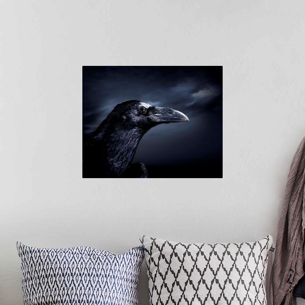 A bohemian room featuring Profile Of A Crow
