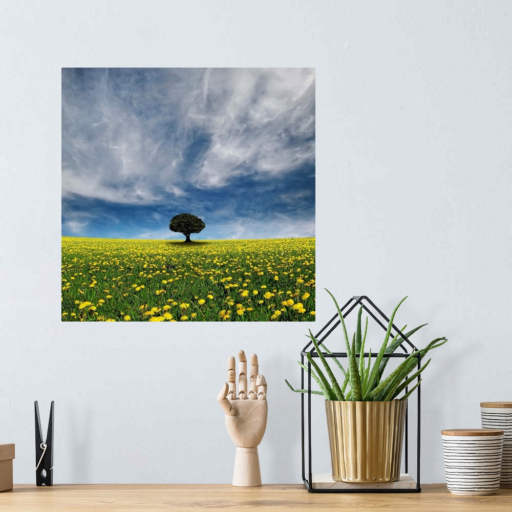 A bohemian room featuring Single tree in middle of flower lawn and stormy cloud.