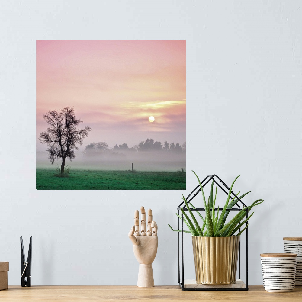 A bohemian room featuring Soft light of landscape with tree during sunrise on foggy day.