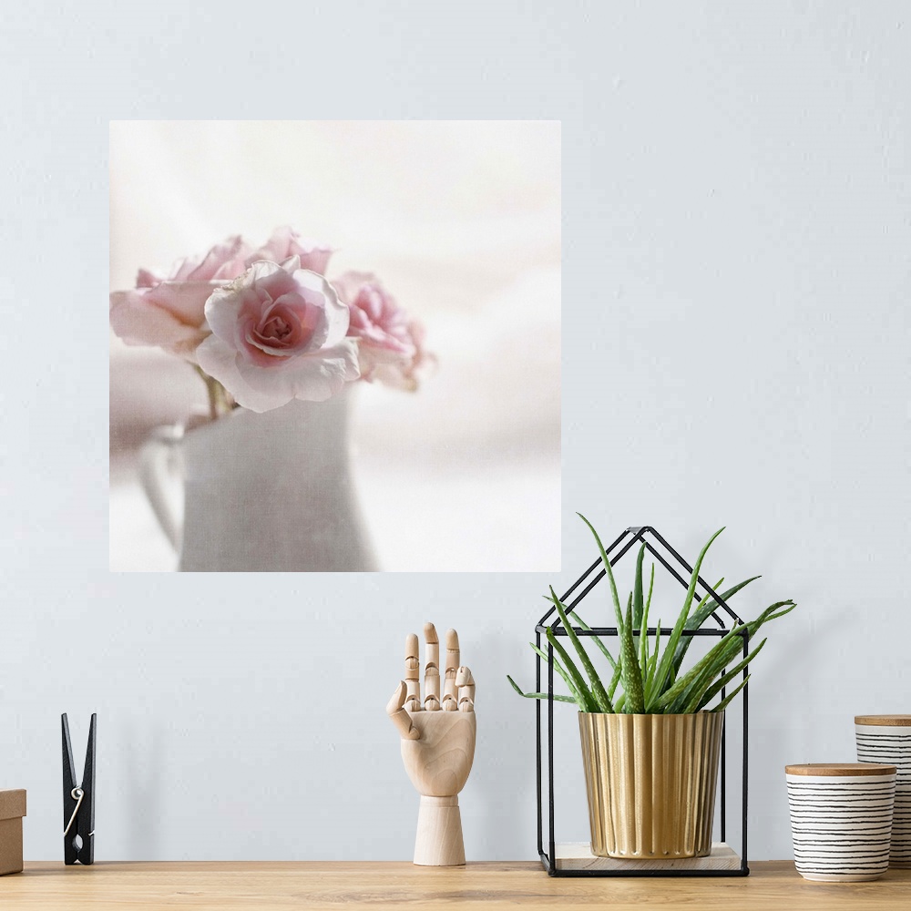 A bohemian room featuring Soft pink roses in white jug.Softly textured.