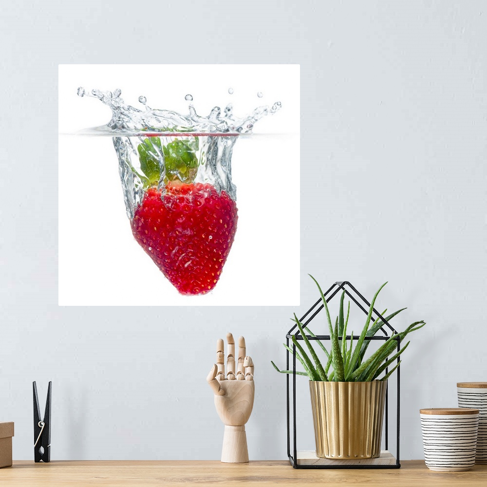A bohemian room featuring Square, large photograph of a juicy, ripe, organic strawberry splashing as it becomes submerged i...