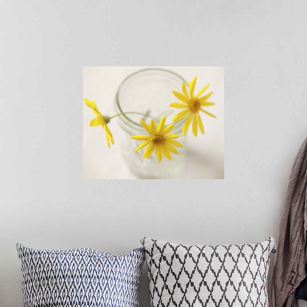 A bohemian room featuring Three yellow daisies in glass jar.