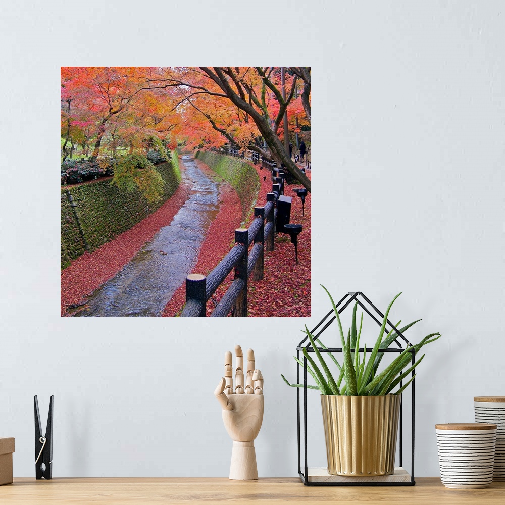 A bohemian room featuring Trees with autumn colors along bending river in Kyoto with red leaves scattered along riverside.