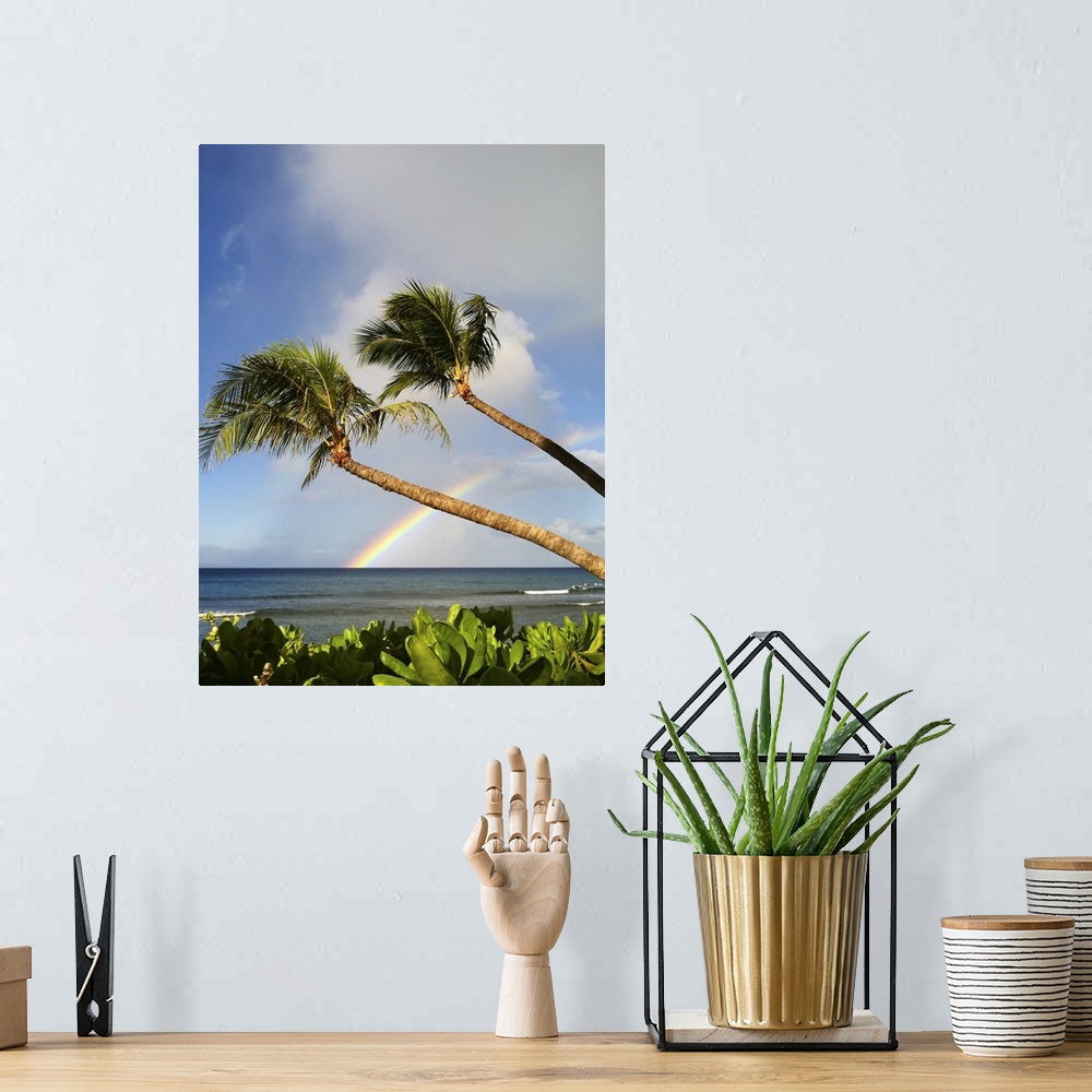A bohemian room featuring Two palm trees on beach and rainbow over sea in background at Hawaii.
