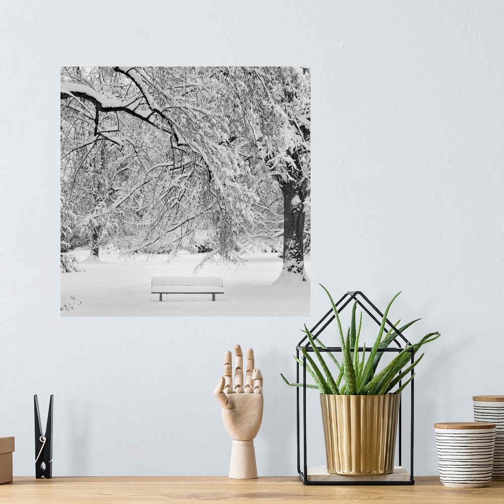 A bohemian room featuring Winter Landscape.