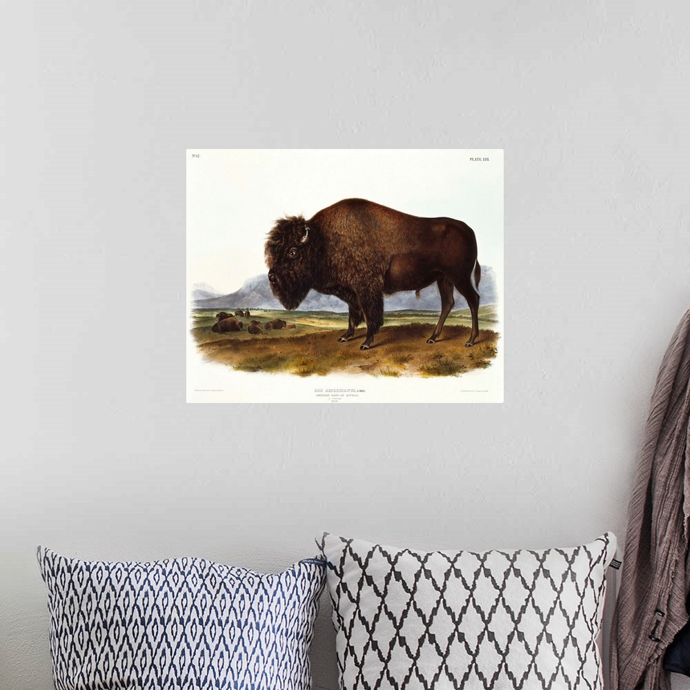 A bohemian room featuring American Bison