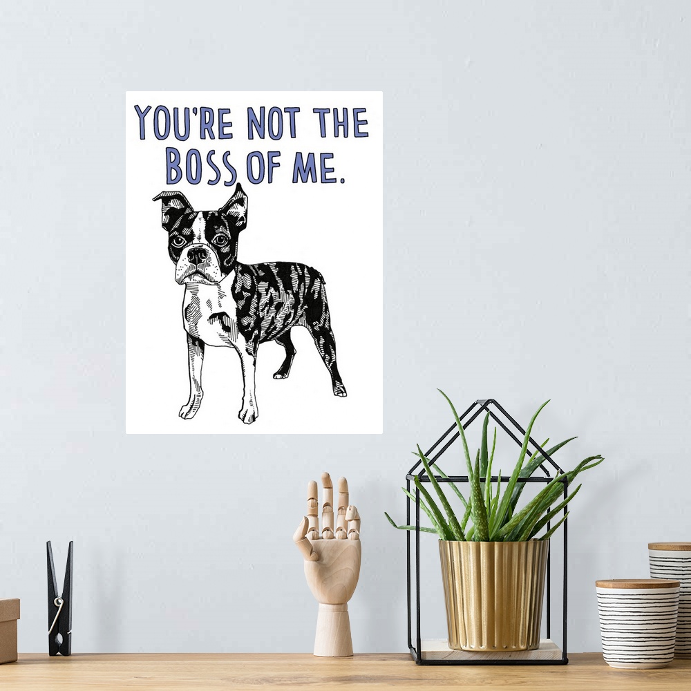 A bohemian room featuring Black and white illustration of a boston terrier with the phrase "You're Not the Boss of Me" hand...