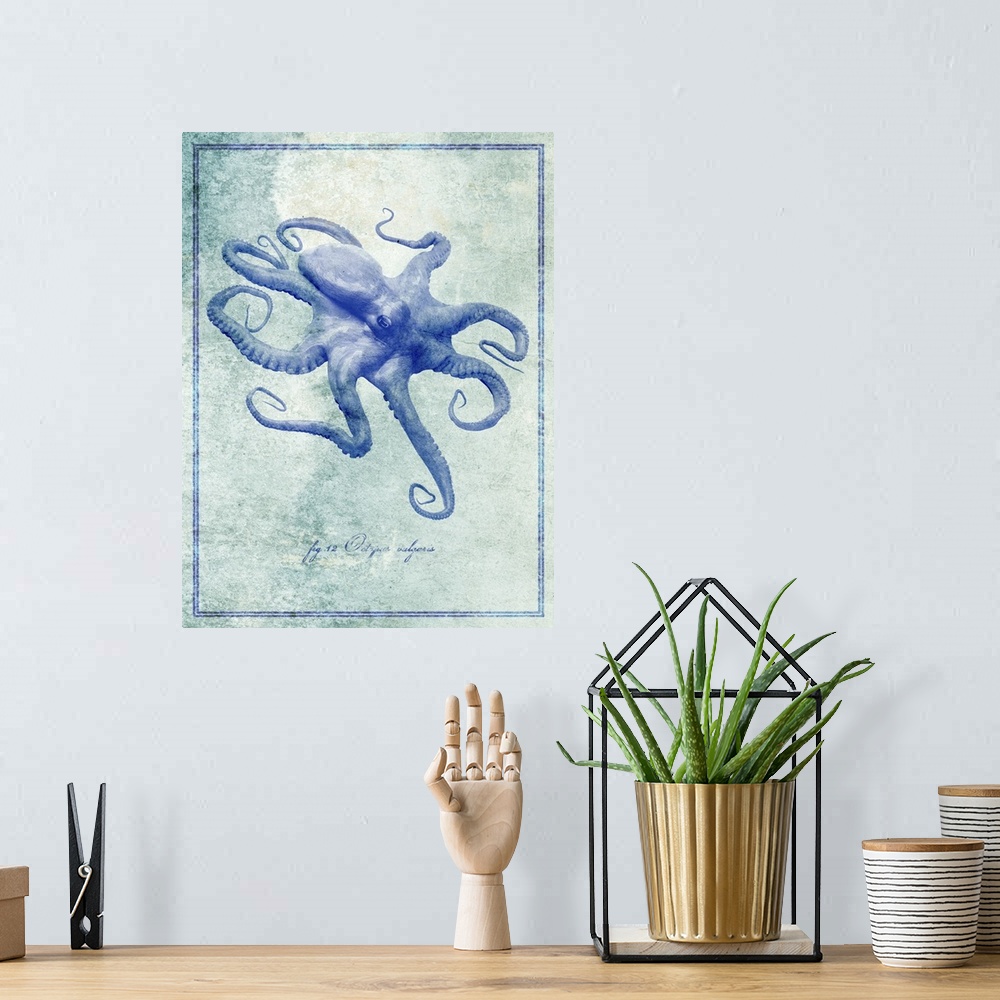 A bohemian room featuring Octopus II