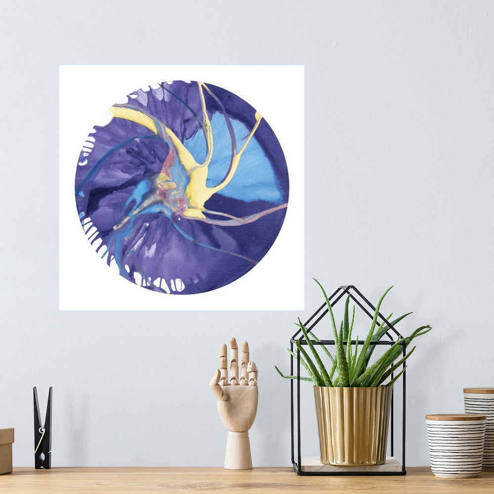 A bohemian room featuring Square abstract spiral spin art inside a circle on white background in shades of purple, blue, ye...