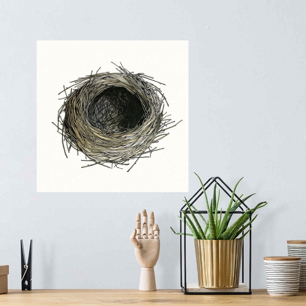 A bohemian room featuring Contemporary watercolor painting of a birds nest against a white background.
