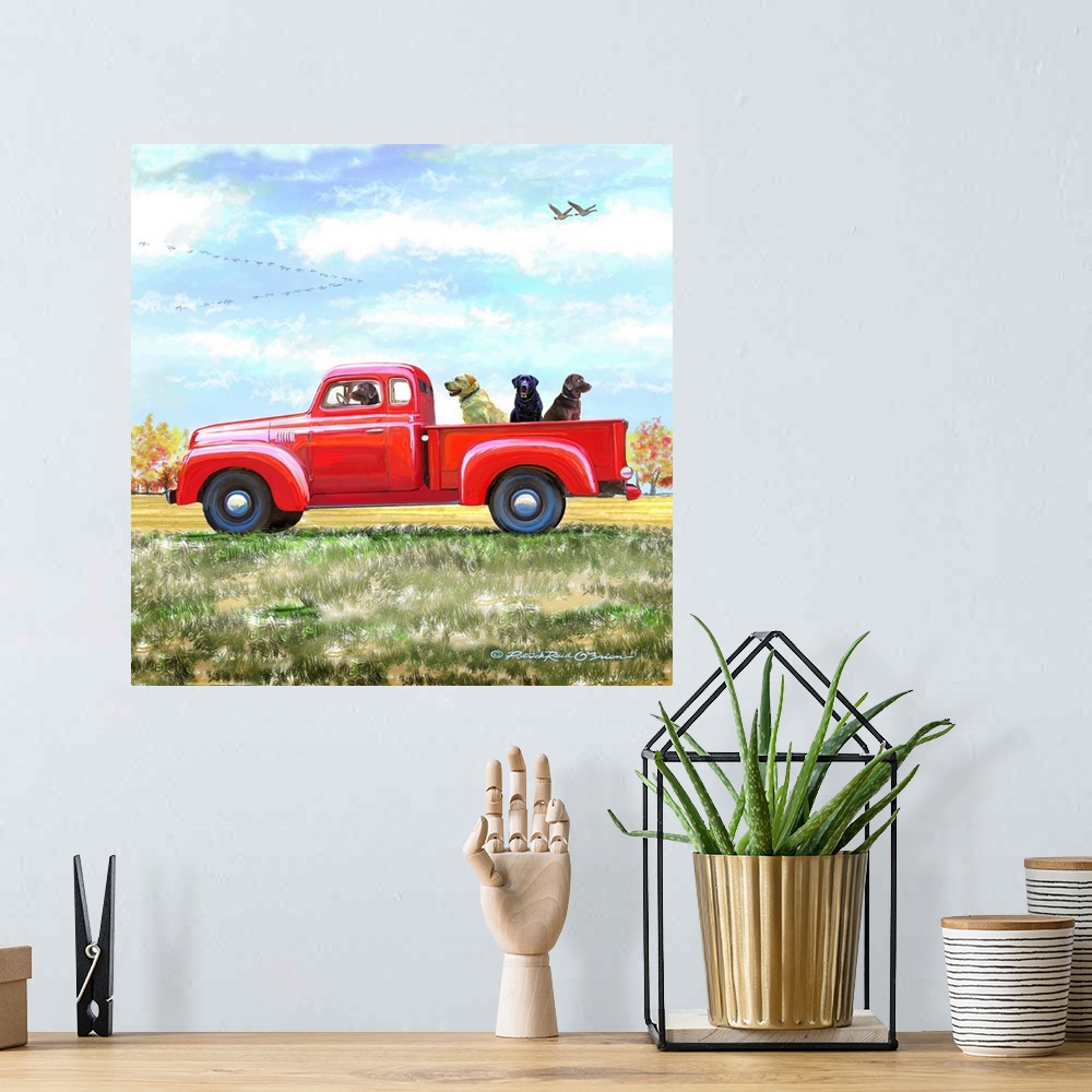 A bohemian room featuring Labs In Red Truck