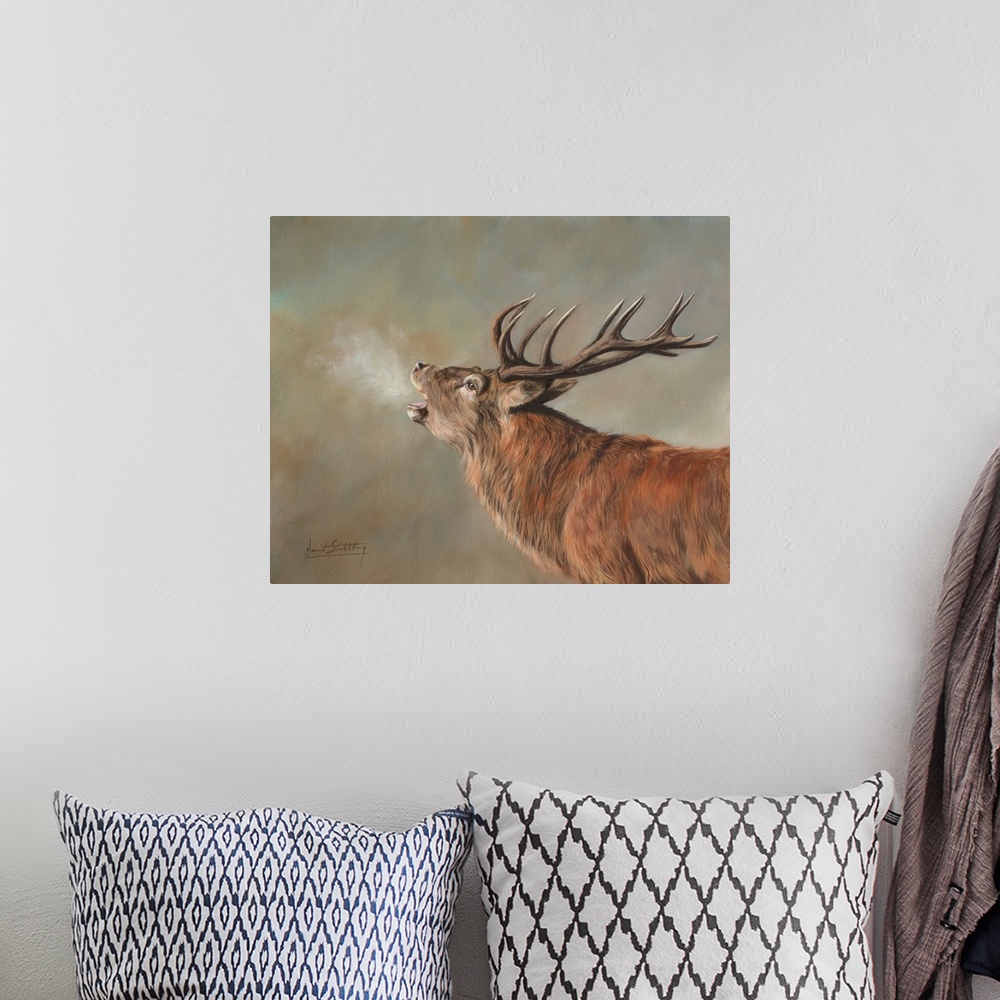 A bohemian room featuring Red Deer Stag